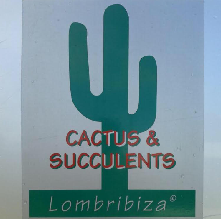 Cactus Lombribiza